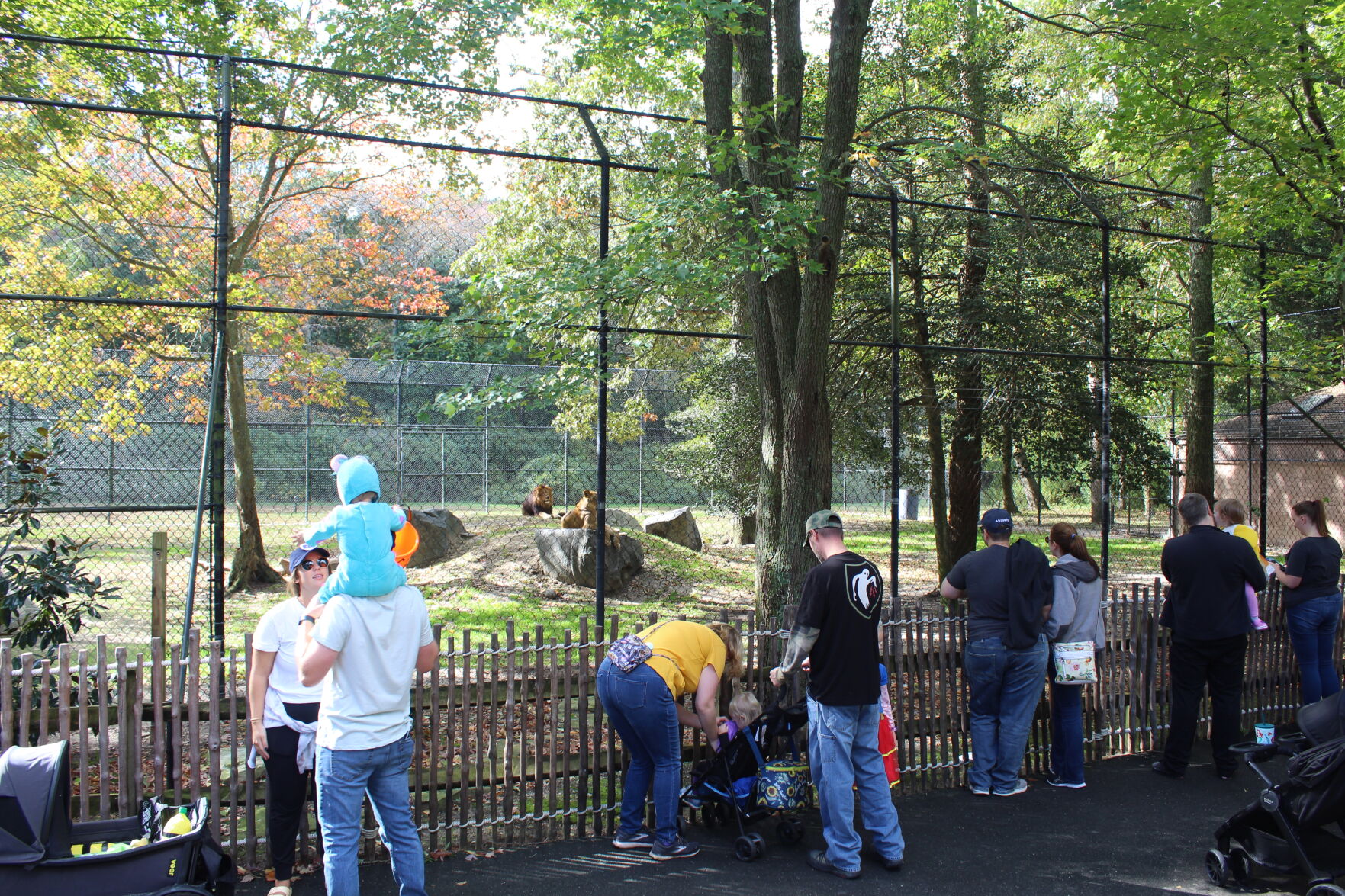 Boo at the Zoo_6627.JPG